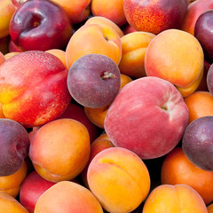 Pile of colorful fruits.