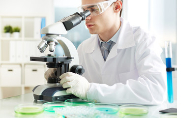 Fototapeta premium Microscope research