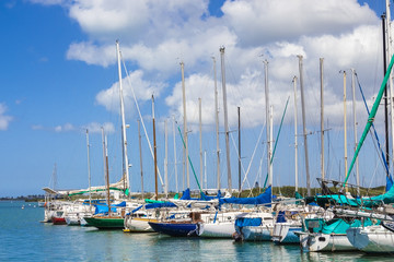 Obraz premium Sailing Club Marina 1