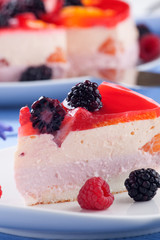 Piece of Fruit Yogurt Cake