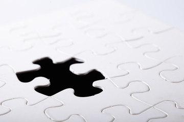 piece of jigsaw puzzle