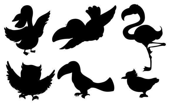 Different silhouettes of birds