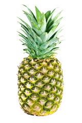 Fototapeta premium Pineapple on white background.