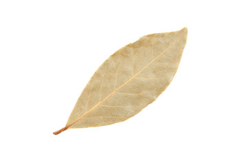 Dried bay leaves isolated on white
