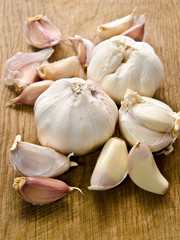 garlic