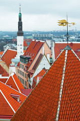 Roofs of the old Tallinn