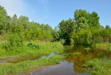 Spring high water. The road to the water.