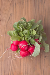 Bunch of fresh radish