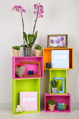 Beautiful colorful shelves with different home related objects