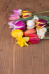 Bouquet of tulips and narcissus