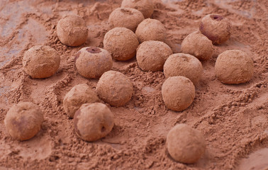 Cherries in the cocoa