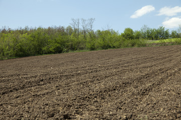 plowed fields
