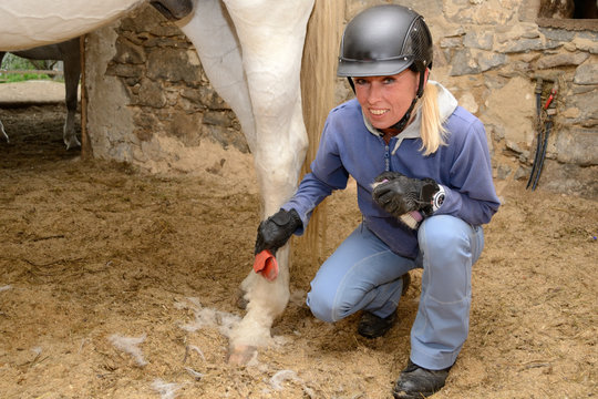 Frau beim Pferdestriegeln