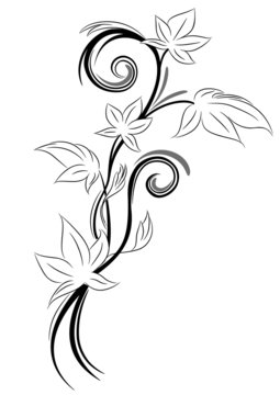 tatuaggio edera