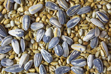 Sunflower seeds atop sunflower kernels