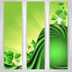 Eco green background with leaves.