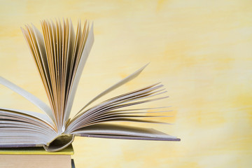 Fototapeta premium open book, close up,selective focus,copy space