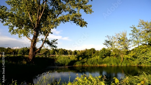 Tipico Fontanile Lombardo Stock Footage And Royalty Free Videos