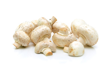 Champignon on a white background. horizontal photo.