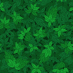 Naklejka na ściany i meble Seamless pattern with green branches of trees.