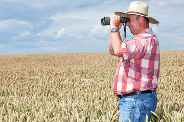Naklejka na ściany i meble Man with binoculars in cornfield