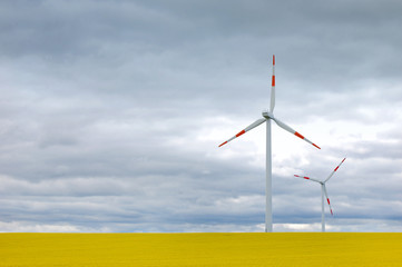 Windenergie im Rapsfeld