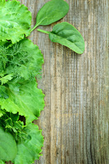 Old wood with lettuce, parsley, dill and spinach