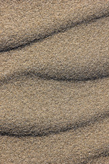 background of sand