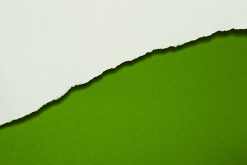 Papierfransen, diagonal, weiss, dunkelgrün