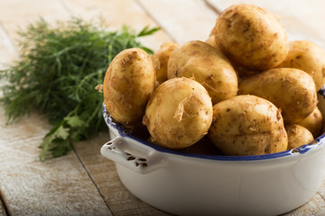 Potato just picked from ground