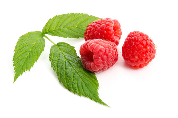 Drei Himbeeren