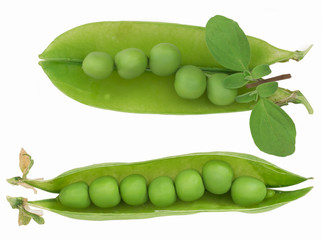 peas in the shell isolated