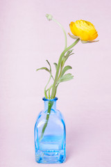 Yellow ranunculus flowers in a vase on vintage background