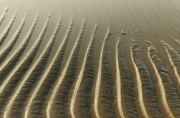 Fototapeta premium Wet sand.