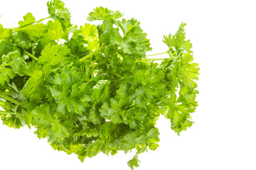 Ripe fresh Parsley