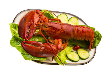 Large Lobster