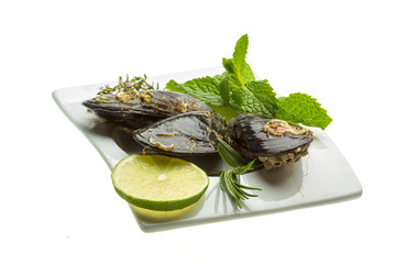 Wild mussel