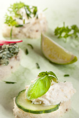 Italian Bruschetta - close up