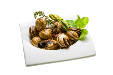 Escargot with asparagus, rosemary, thymus and tomato