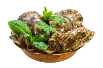 Fresh oyster