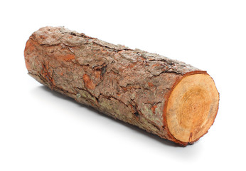 Cut log fire wood from pine tree.