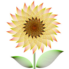 Big sunflower