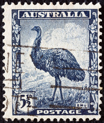 Emu (Dromaius novaehollandiae) (Australia 1942)