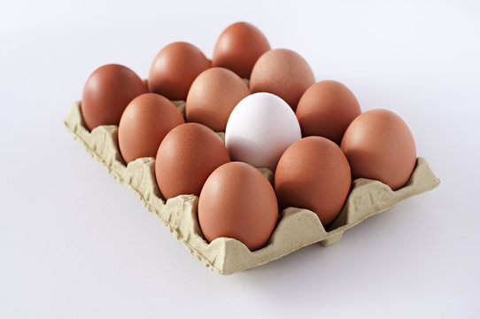 docena de huevos morenos uno blanco fondo blanco
