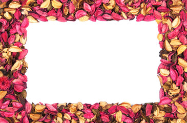 Frame of red flower petals on a white background