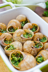 Bourgogne snails
