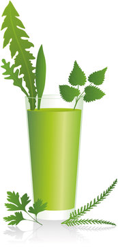 Green Smoothie ( Gr&uuml;ner Smoothie )