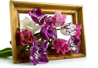 bouquet of tulips in a frame on a white background