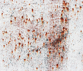 Rusty old metal plate with white gloss paint.