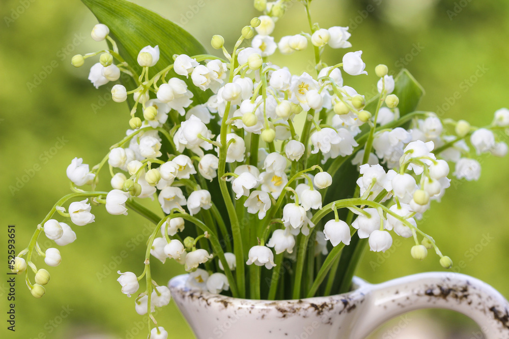 Sticker Lilly of the valley flowers in white rustic vase